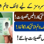 What Is 8171 Check Online CNIC and Why It Matters?