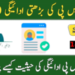 BISP 14500 June 2025 Payment Status Check – Complete Guide for Beneficiaries