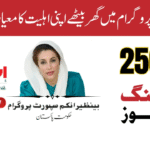 8171 Ehsaas Program 25000 BISP | Complete Guide to Eligibility, Registration, and Benefits in Pakistan