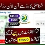 8171 Ehsaas Program Check CNIC Online Web Portal – June 2025 Update