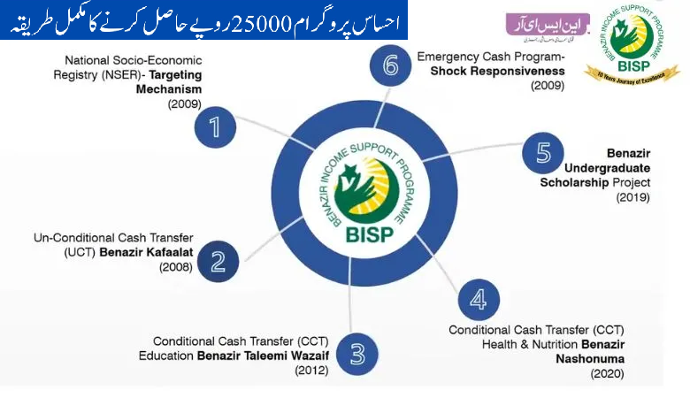 Check Online 8171 Ehsaas Program 25000 Registration | Complete NSER Survey