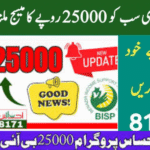 Everything You Need to Know About 8171 Ehsaas Program 25000 BISP Registration