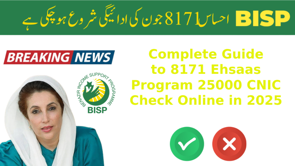 Complete Guide to 8171 Ehsaas Program 25000 CNIC Check Online in 2025