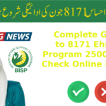 Complete Guide to 8171 Ehsaas Program 25000 CNIC Check Online in 2025
