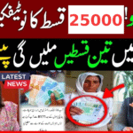 Everything You Need to Know About the 8171 Web Portal 25000 Cash Help!