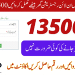 How to Complete Ehsaas Program Registration 8171 NADRA | A Friendly Step‑by‑Step Guide