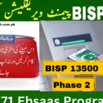 8171 Check Online 2025: The Ultimate Guide to Ehsaas Program, BISP 25000, and More