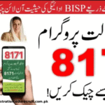 Your Ultimate Guide to the 8171 Portal 2025: Unlocking Financial Aid with Ehsaas Program 25000 & BISP News