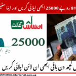 Your Ultimate Guide to 8171 Check Online 2025: How to Get Rs. 25,000 from Ehsaas Program