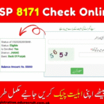 8171 Ehsaas Program 25000 BISP: Check Eligibility, Apply Online & Get Payment Updates [2025 Guide]