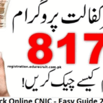 8171 Ehsaas Program 2025 | Latest Updates, Eligibility, and How to Receive 25000 BISP Payment