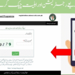 8171 Check Online CNIC Login: The Ultimate 2025 Guide for Ehsaas Program & BISP