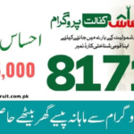 8171 احساس پروگرام 25000 بی آئی ایس پی – مستحقین کے لیے مکمل رہنمائی اور تازہ ترین اپڈیٹس