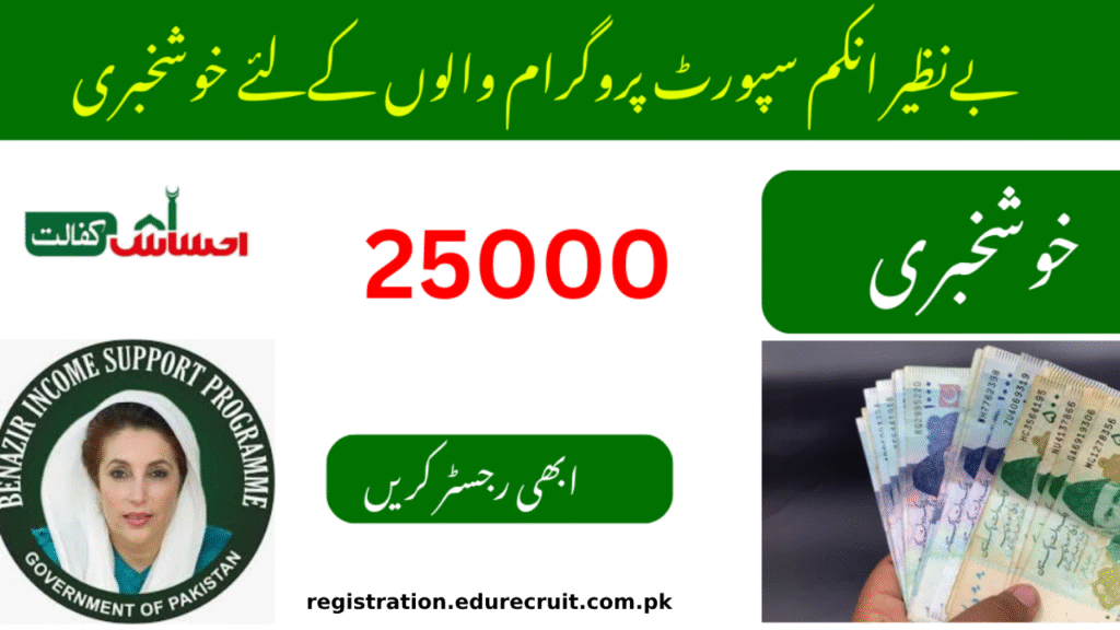 Ehsaas Program 8171 کے ذریعے 25,000 روپے وصولی کا آسان طریقہ جانیں – مکمل رہنما.