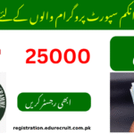Ehsaas Program 8171 کے ذریعے 25,000 روپے وصولی کا آسان طریقہ جانیں – مکمل رہنما.