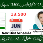 Ehsaas Kafalat Program 13500 CNIC Check Online 2025 – Complete Guide