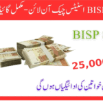 احساس پروگرام CNIC چیک آن لائن رجسٹریشن جون 2025 – مکمل گائیڈ