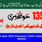 Ehsaas 8171 June 2025 Payment 13500 Installment Latest Update