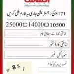 Ehsaas Program 8171 June 2025 Payment 13500 Check Via Online Web Portal