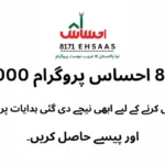 Ehsaas Program 8171 June 2025 Payment 13500 Check Via Online Web Portal