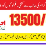Step-by-Step Ehsaas Program Registration 8171 NADRA Guide for 2025