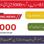 The 8171 Web Portal and Ehsaas Program 25000 BISP in 2025