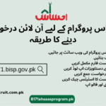 Ehsaas Program 8171: Complete 2025 Guide to Registration, Eligibility & 25000 BISP News