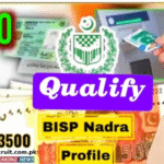 Complete Guide to Ehsaas Program Registration 8171 NADRA in 2025