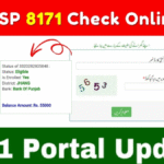 "جون 2025 میں BISP اہلیت چیک کریں – 8171 SMS سروس کا آسان طریقہ"