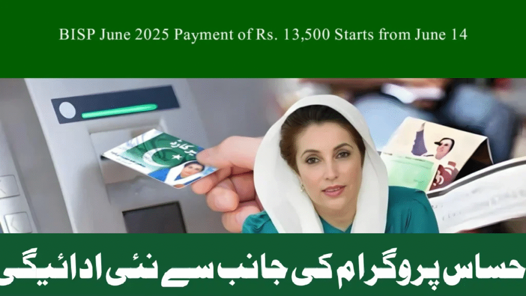 Quick & Easy Way to Check Your BISP Eligibility via SMS – 8171 June 2025 Guide