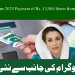 Quick & Easy Way to Check Your BISP Eligibility via SMS – 8171 June 2025 Guide