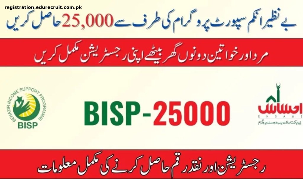 Your Ultimate Guide to the 8171 Web Portal 2025 Check Online for Ehsaas Program 25000 BISP