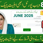 How to Check Your BISP 8171 Result Online by CNIC in 2025: The Ultimate Guide
