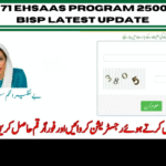 BISP 8171: Your Ultimate Guide to the 8171 Ehsaas Program 25000 BISP News in 2025
