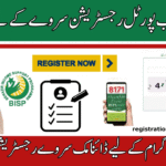 8171 Ehsaas Program 25000 BISP - Your Complete 2025 Guide