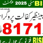 Guide to Ehsaas Program 8171: Eligibility, Registration, and Latest BISP News (2025)