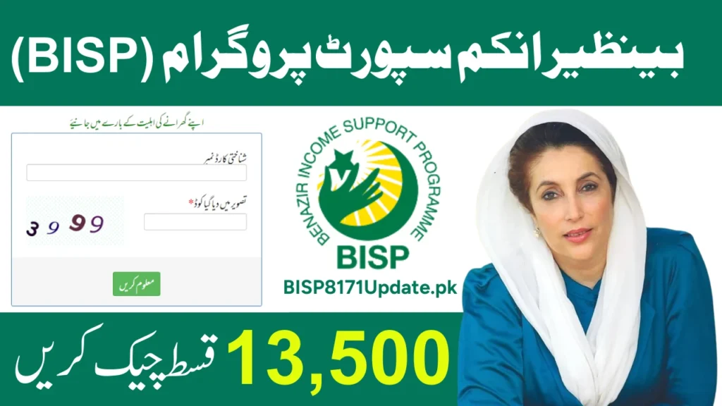 How to Check 8171 Money Online by CNIC? (2025 Guide)